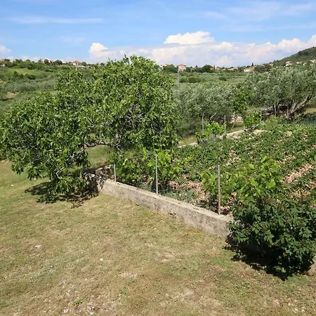 Mirni Kutak Apartament